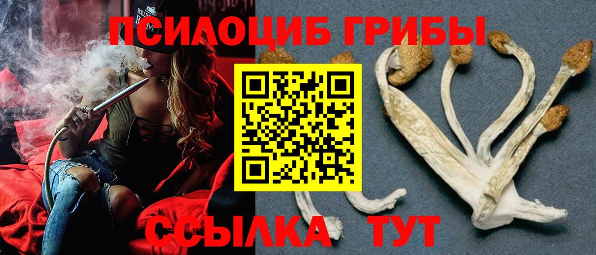 Галлюциногенные грибы мицелий Касимов