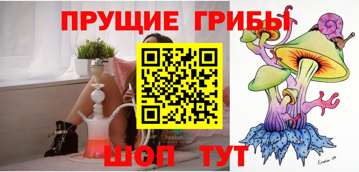 Касимов  Псилоцибиновые грибы Magic Shrooms  Вход с VPN 